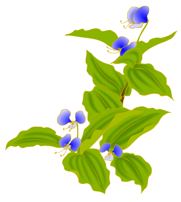 摘草や